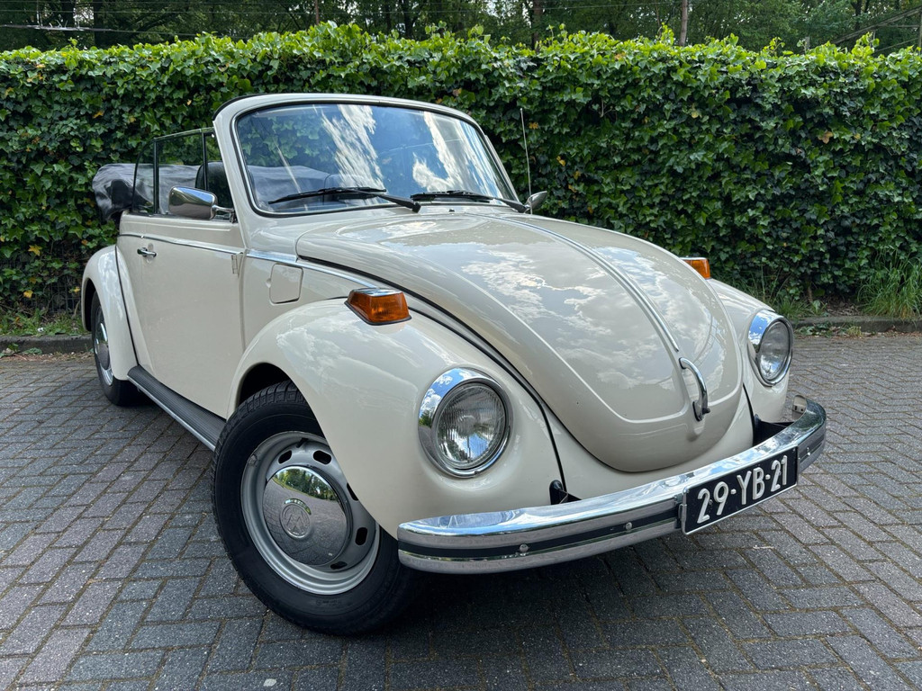32799328-18.jpg